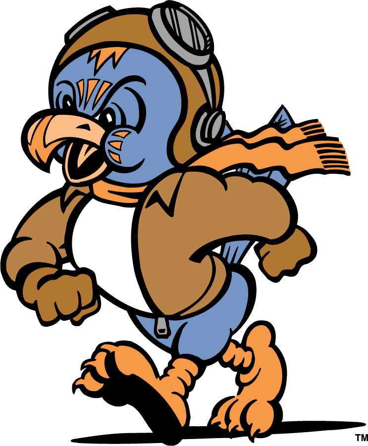Tennessee-Martin Skyhawks 1995-2007 Mascot Logo diy iron on heat transfer